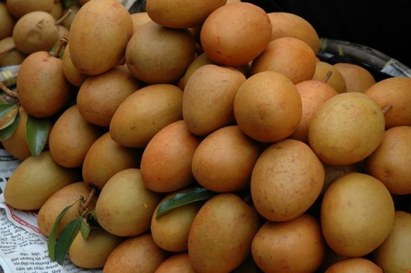26hongxiem 600x399 1