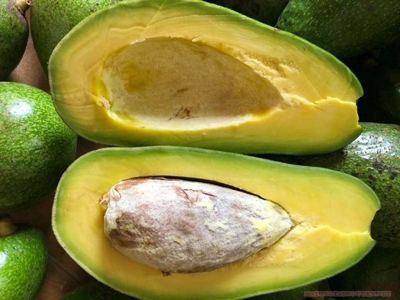 8 loại trái cây có hàm lượng đường thấp giúp giảm cân 71 tamloaitraicaycohamluongduongthapmot